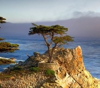Pebble Beach Pebble Beach